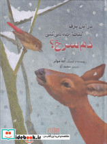 در این برف اینجا جه می کنی دم سرخی؟