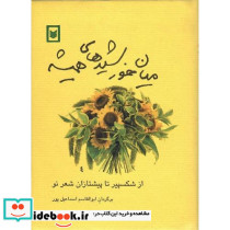 میان‏ خورشیدهای‏ همیشه‏