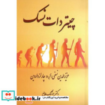 چیتر دات نسک