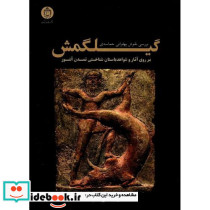 بررسی نقوش پهلوان