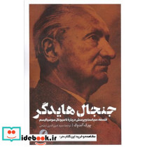 جنجال هایدگر