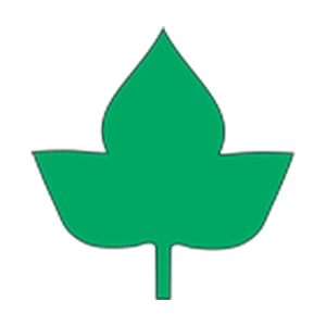 دارینوش